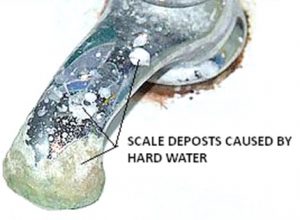 Hard water scale on faucet