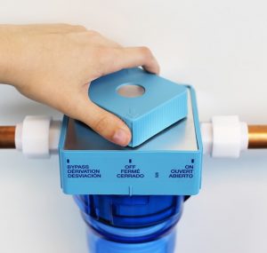 whole house filter with bypass valve